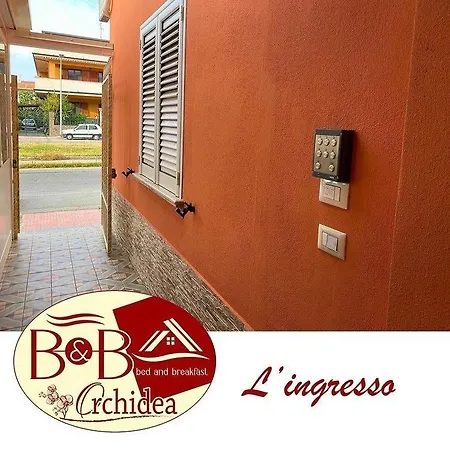 Orchidea Gioia Tauro