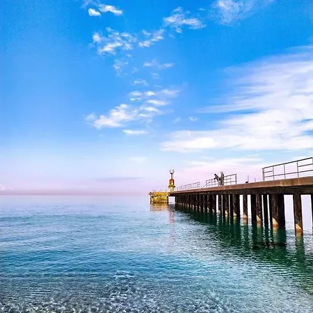 Orchidea Gioia Tauro