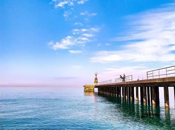 Orchidea Gioia Tauro