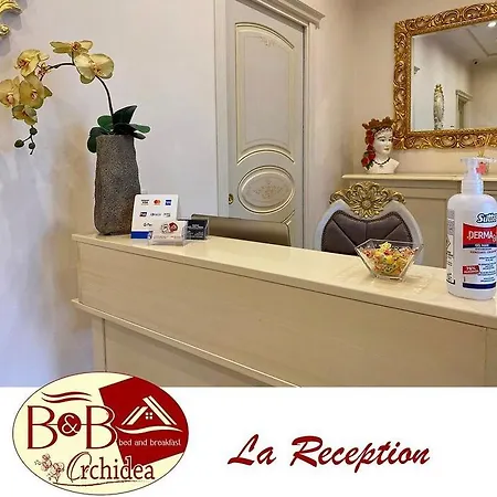 Orchidea ジョイア・タウロ