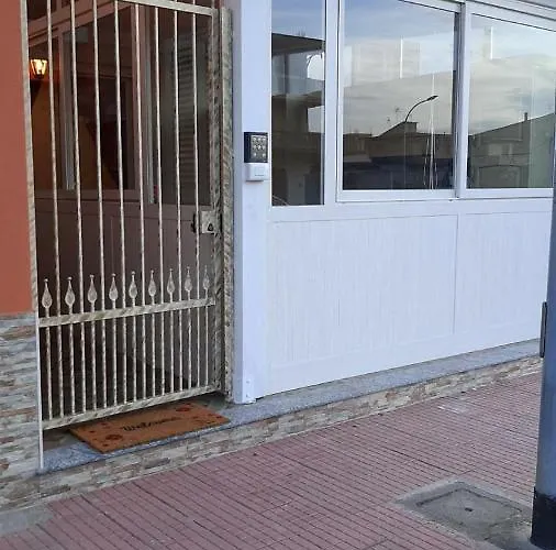 Orchidea Gioia Tauro